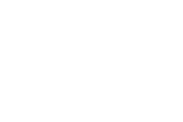 IDX Logo